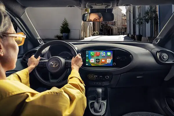 aygox_interior